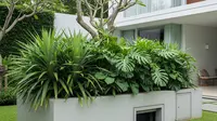 7 Model Sumur Pompa yang Terlihat Rapi dan Tidak Merusak Tampilan Taman Rumah