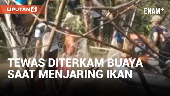 VIDEO: Nelayan di Bangka Belitung Tewas Diterkam Buaya Saat Menjaring Ikan