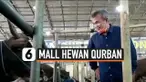 haji doni thumbnail
