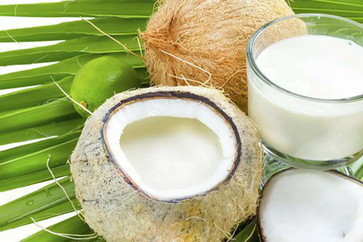 Santan, bahan makanan lezat/copyright: thinkstockphotos.com
