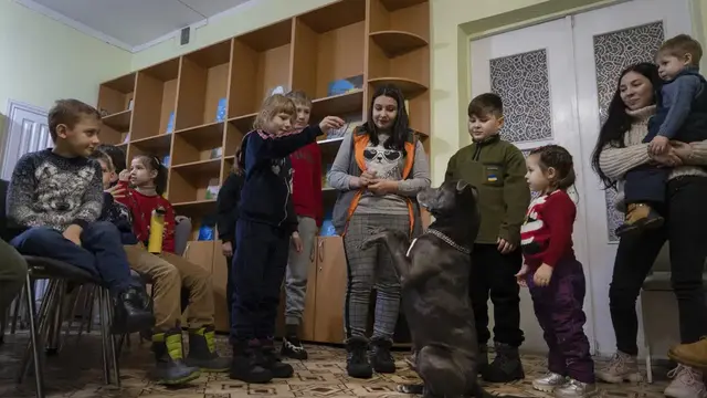 Bice adalah pit bull terrier Amerika dengan pekerjaan penting dan sensitif di Ukraina, menghibur anak-anak yang trauma akibat perang di Pusat Rehabilitasi Sosial dan Psikologis di Boyarka. (Vasilisa Stepanenko/AP Photo)