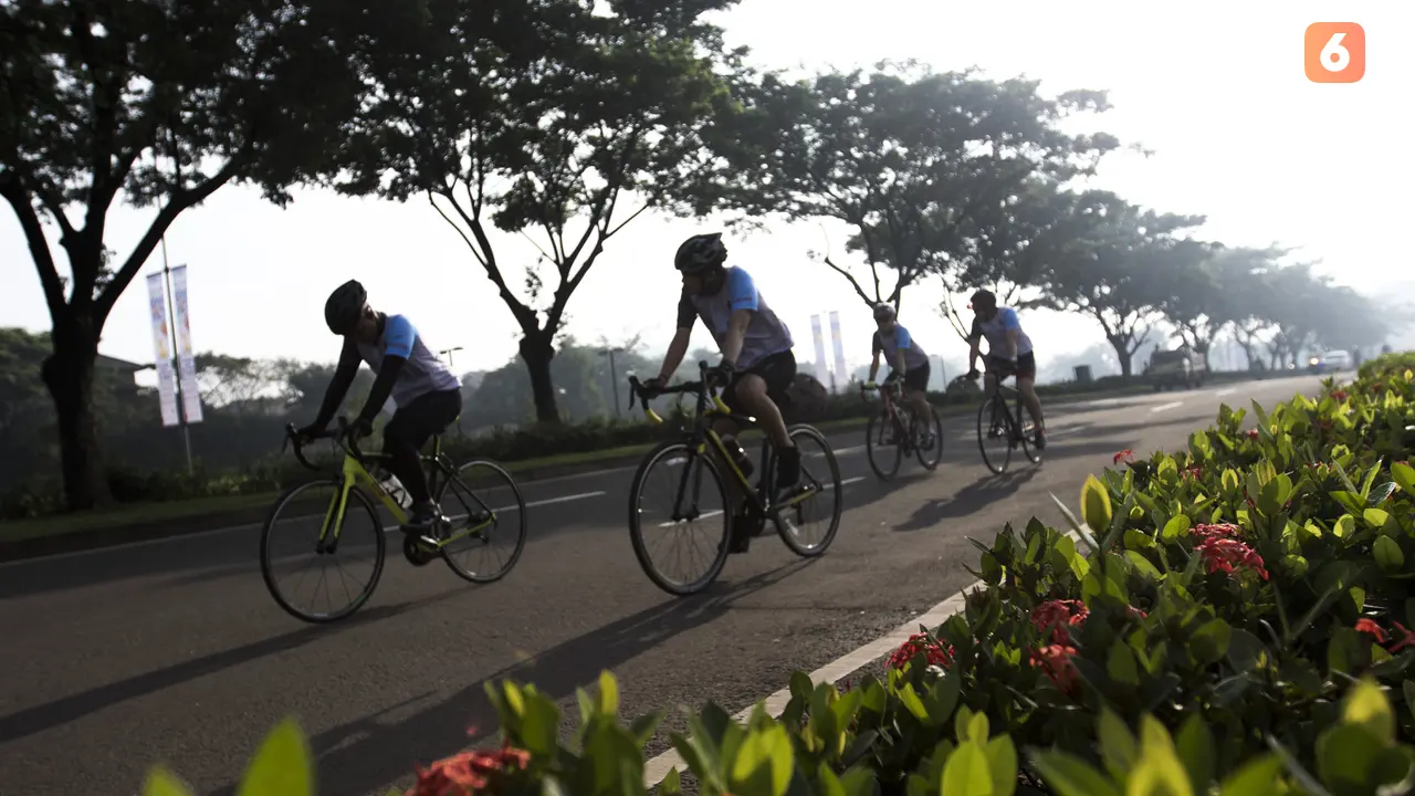 Sepeda Santai Hotel Novotel