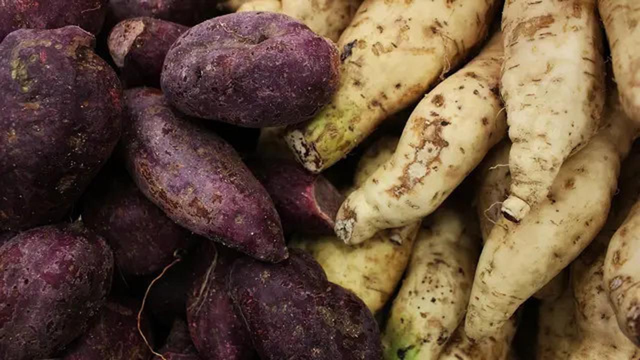 Mengenal Perbedaan Gizi dan Rasa pada Ubi Jalar Ungu, Kuning, dan Putih