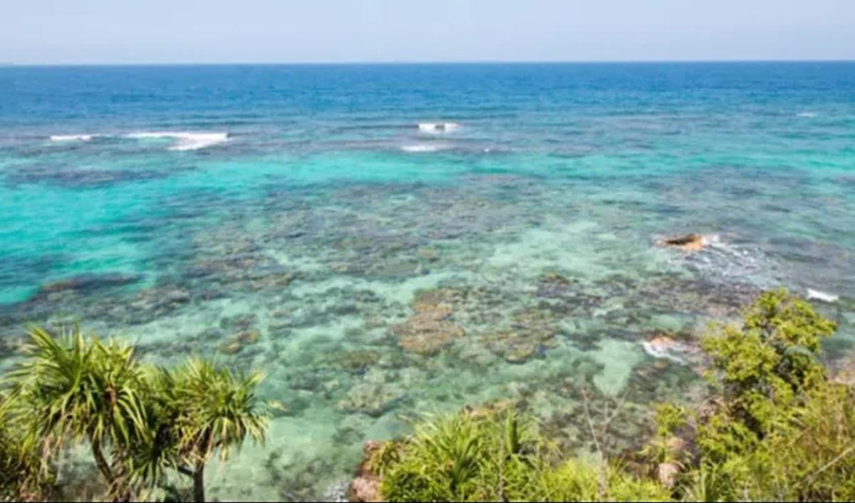 Pemulihan ekosistem terumbu karang itu dilakukan dengan berbagai metode salah satunya metode media spider. Jadi media berbentuk jaring diletakkan di dasar laut kemudian dilakukan pembibitan terumbu karang.<br>