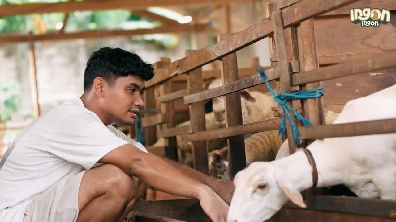 Mampu Raup Ratusan Juta Rupiah