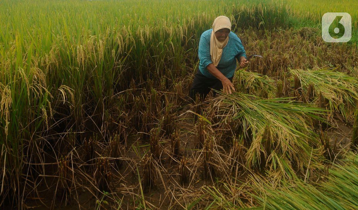 Mensejahterakan Masyarakat Kecil