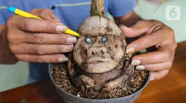 Pengrajin tanaman, Herman Ronda merawat bonsai kelapa berbentuk katak di Jalan Salak, Pamulang, Tangerang Selatan, Senin (13/10/2020). Bonsai dari batok kelapa yang digeluti sejak tahun 2017 dijual dengan kisaran harga 200 ribu - 1,5 juta rupiah. (Liputan6.com/Fery Pradolo)