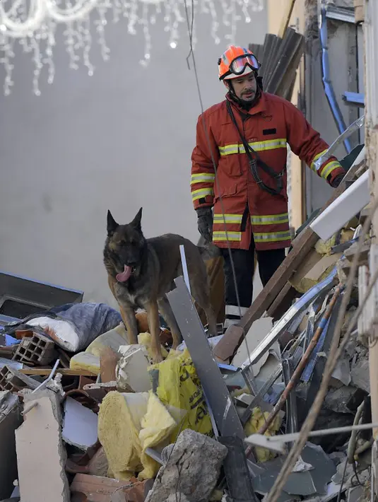 Petugas pemadam kebakaran dan seekor anjing mencari korban dari puing-puing bangunan yang runtuh di Sanary-sur-Mer, Prancis, 7 Desember 2021. Satu orang tewas dan dua lainnya masih dinyatakan hilang setelah gedung apartemen tiga lantai runtuh akibat ledakan gas. (NICOLAS TUCAT/AFP)