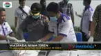 Ayam tiren tersebut ditemukan pelaku dari kebun tetangganya sendiri.
