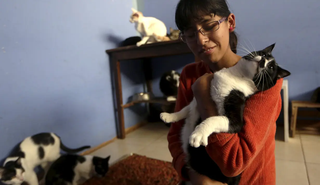 Lizi Inga saat memegang seekor kucing dirumahnya, Lima, Peru (4/8/2015). Inga merupakan seorang wanita yang mempunyai penampungan kucing sekitar 50 ekor dirumahnya sendiri. (Reuters/Mariana Bazo)