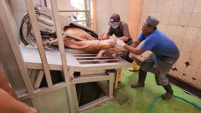 Kementan Arahkan Masyarakat Memanfaatkan RPH untuk Kurban agar Hasil Potongan ASUH