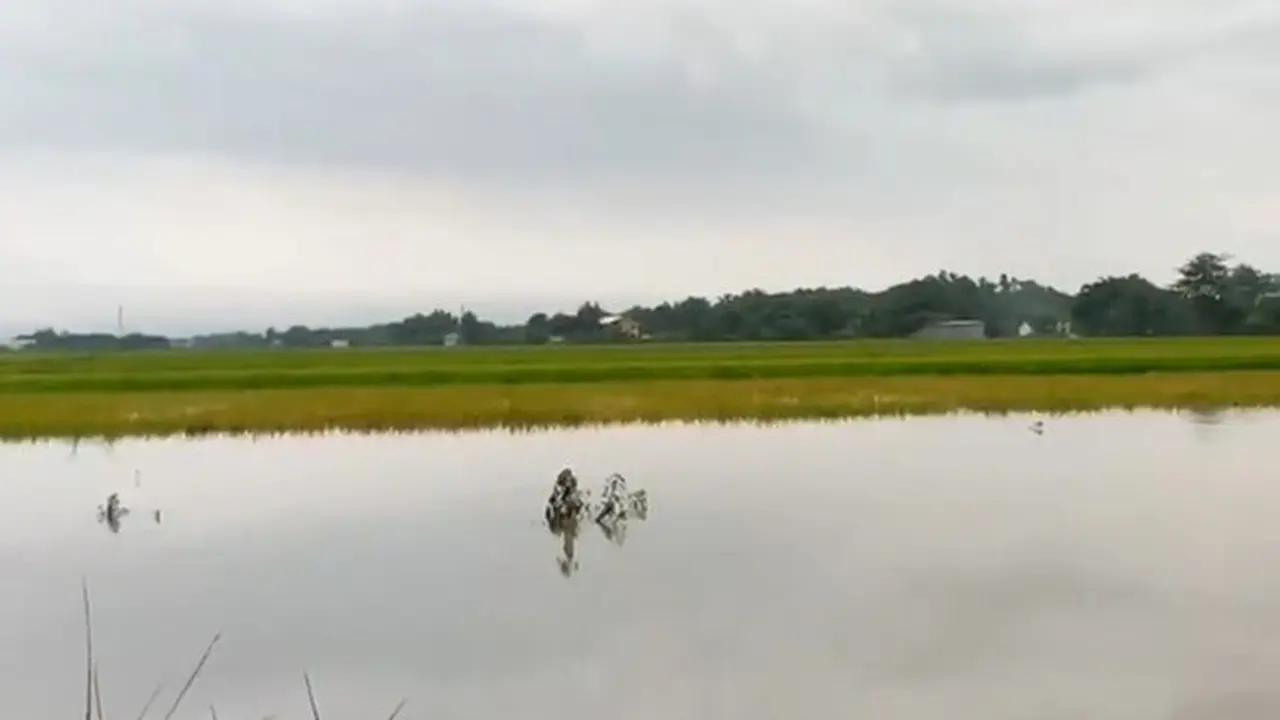 Banjir Pati