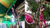Aksi biduan dangdut yang bikin geleng kepala. (Sumber: Twitter/@greskun/Facebook/Pawito Jayeng Hiro)