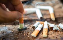 17 Zat Berbahaya dan Mematikan pada Rokok, Wajib Baca