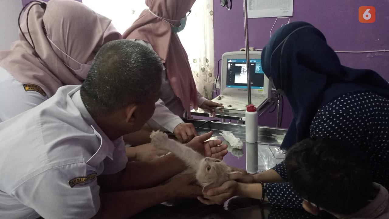 Pusat Kesehatan Hewan (Puskewan) di Kabupaten Sukoharjo