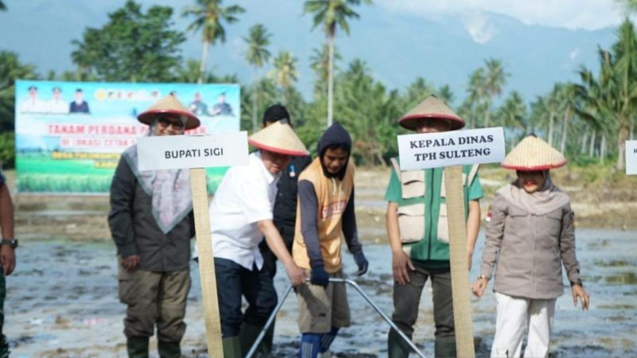 Pemkab Sigi Tanam Perdana Program Cetak Sawah Baru Sigi, Dukung Swasembada Pangan Nasional