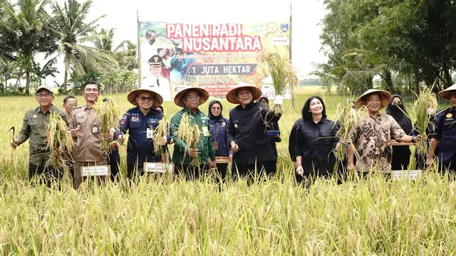 Kabupaten Ogan Komering Ulu Mulai Panen Raya Menjelang Ramadan