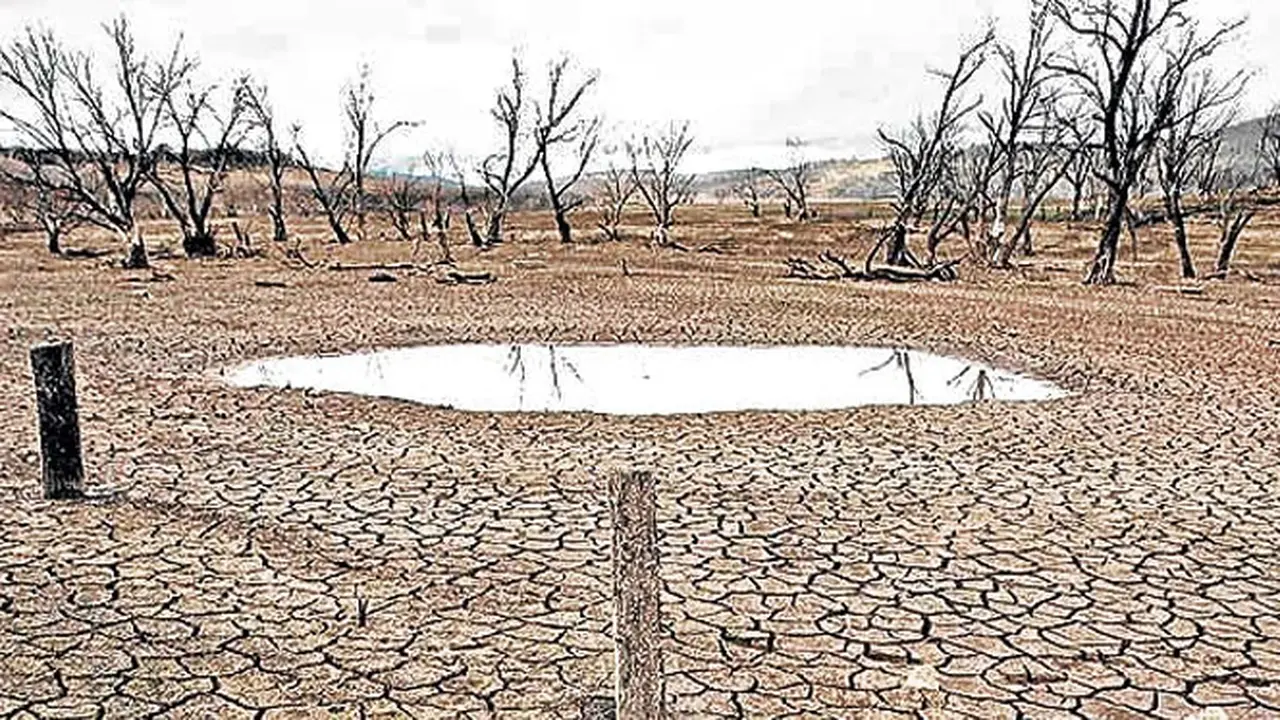 Ilustrasi Liputan Khusus El Nino