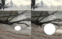Misteri di Pantai Walur: Jenazah Tanpa Kepala dan Tangan Menggegerkan Warga