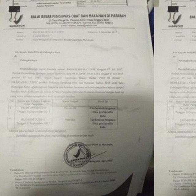 Ada Dna Babi Di Viostin Ds Ini Penjelasan Pt Pharos Indonesia Health Liputan6 Com