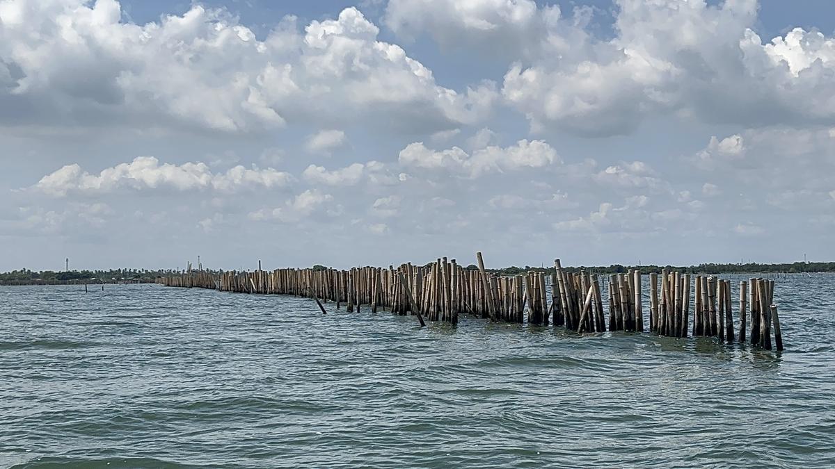 pagar laut di kohod