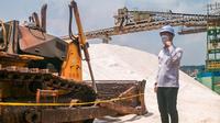 Menteri Perindustrian Agus Gumiwang Kartasasmita mengamati garam industri sebagai bahan baku industri kimia di PT Asahimas Chemical di Cilegon, Banten, 13 April 2022. (Dok Kemenperin)