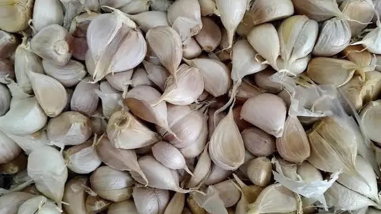Cara Merebus Bawang Putih untuk Turunkan Kolesterol, Tekanan Darah Tinggi, dan Asam Urat