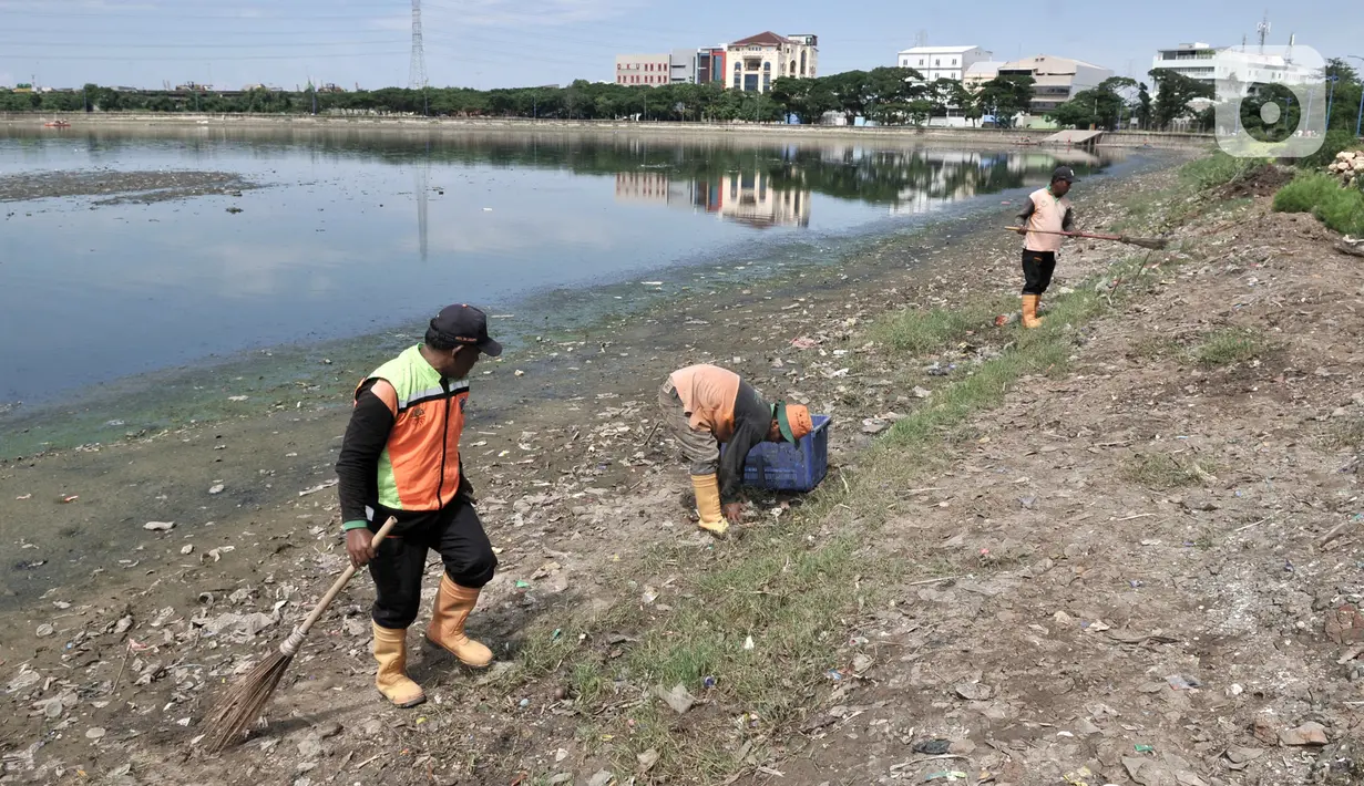 Petugas UPK Badan Air Dinas Lingkungan Hidup Provinsi DKI Jakarta membersihkan sampah di Danau Cincin, Papanggo, Jakarta Utara, Selasa (28/1/2020). Pembersihan sampah yang berasal dari pemukiman sekitar tersebut rutin dilakukan guna menjaga danau tetap bersih dan nyaman. (merdeka.com/Iqbal Nugroho)
