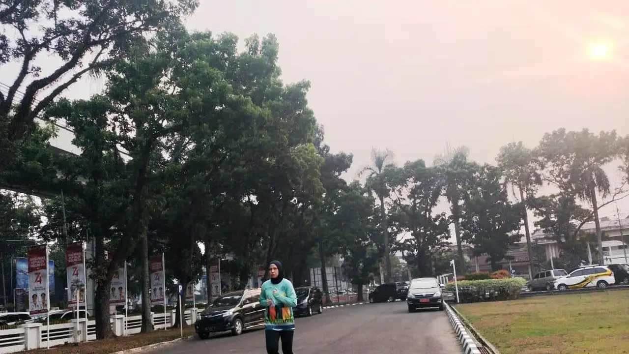 Gubernur Sumsel Tuding Malaysia Turut Sumbang Kabut Asap