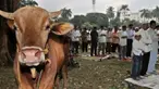 Pada dasarnya perayaan Iduladha di berbagai negara intinya adalah berkurban dengan menyembelih hewan. Namun, ada keunikan tersendiri yang bisa ditemui dari masing-masing negara ini.