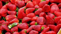 Ilustrasi Strawberry Credit: Pexels.com/Pixabay