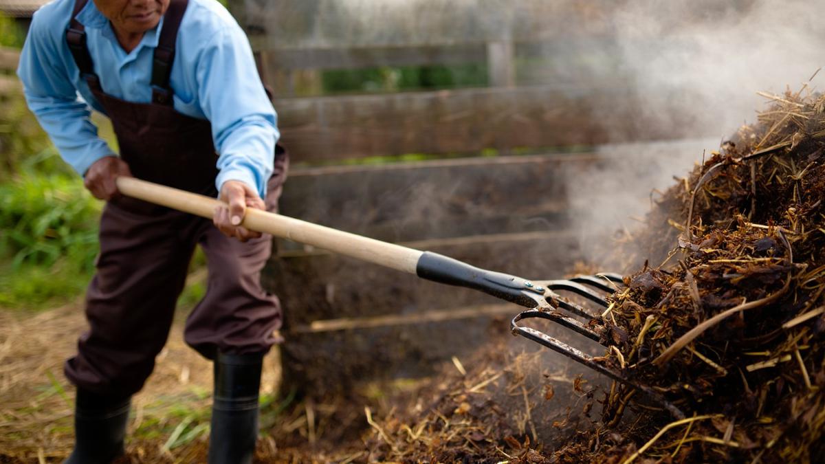 7 Cara Fermentasi Kohe Kambing Super Cepat, Bikin Tanaman Makin Subur