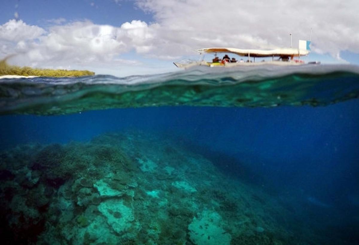 Melihat ribuan terumbu karang rusak parah di laut Queensland