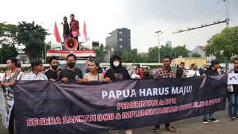 3 Ibu Kota DOB Papua Ditetapkan: Merauke, Nabire, Jaya Wijaya