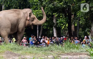 Pengunjung Ragunan Capai 135.500, Pramono Anung Sebut Pecahkan Rekor