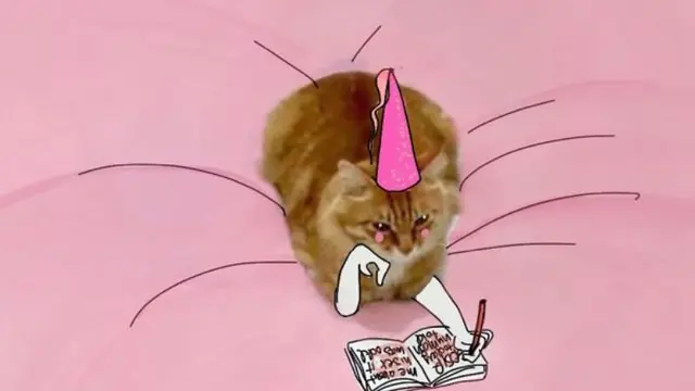 Lucunya 7 Kreasi Coretan di Foto Kucing Duduk Ini Bikin Tersenyum