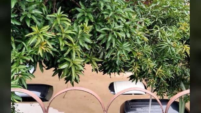 Korban Banjir di Bogor Belum Terima Bantuan