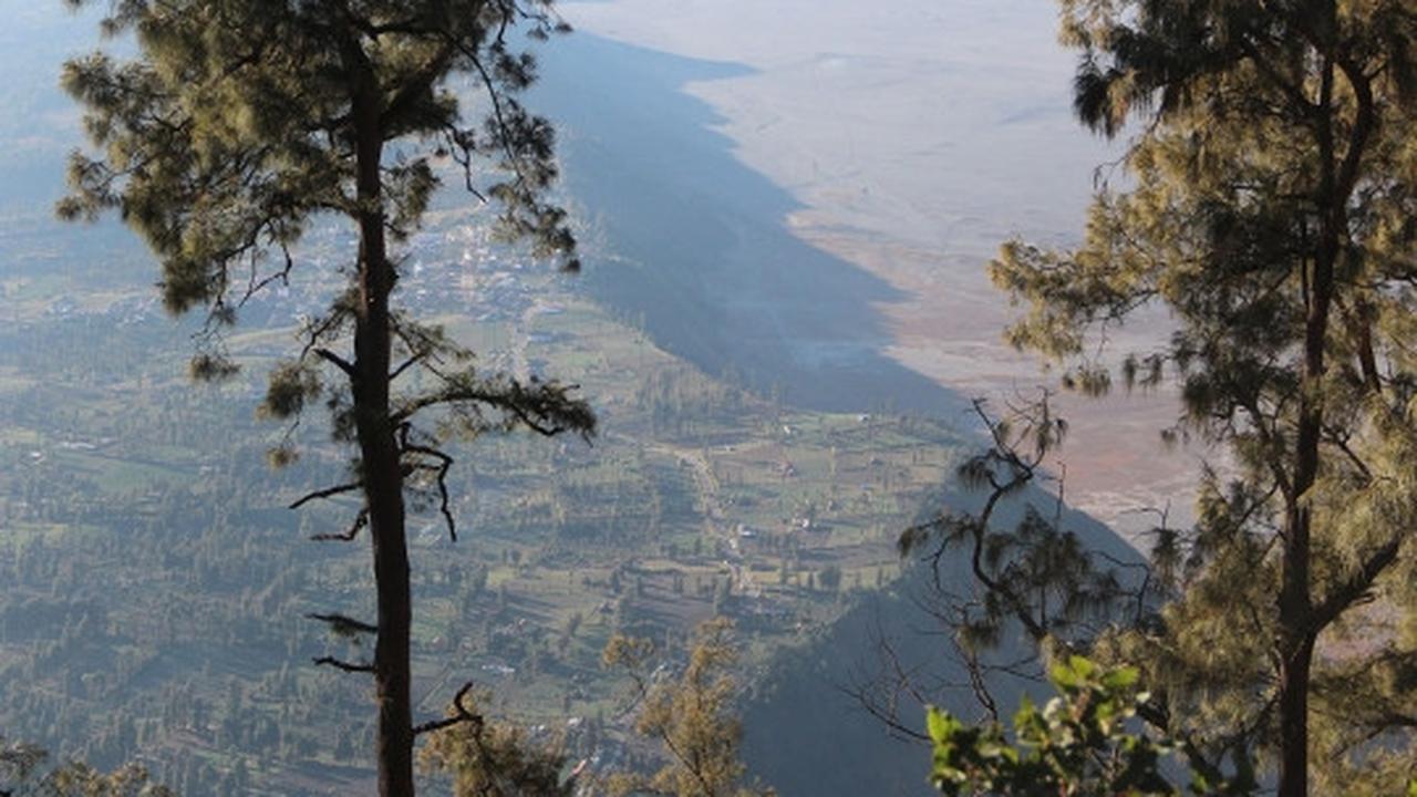 Memanjakan mata menikmati keindahan bukit 'Teletubbies' di Bromo