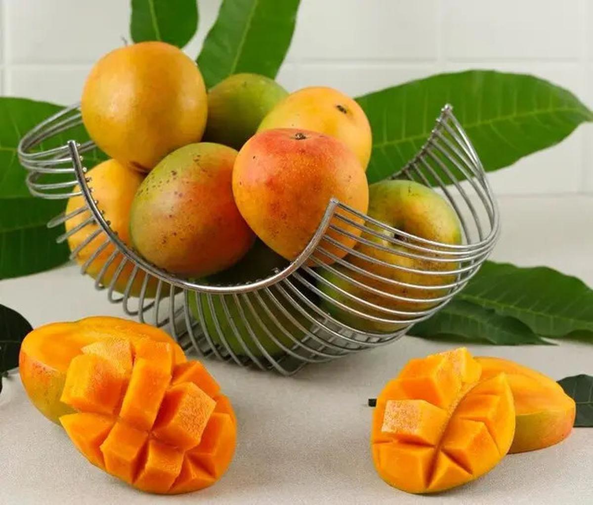 10 Buah-buahan Berpohon Pendek yang Tahan Panas, Cocok untuk Teras Terbuka