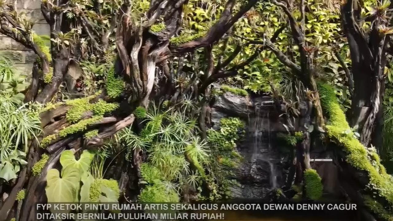 8 Potret Paludarium Raksasa di Rumah Denny Cagur yang Megah, Pemandangan Indah - Ditaksir Berharga Fantastis