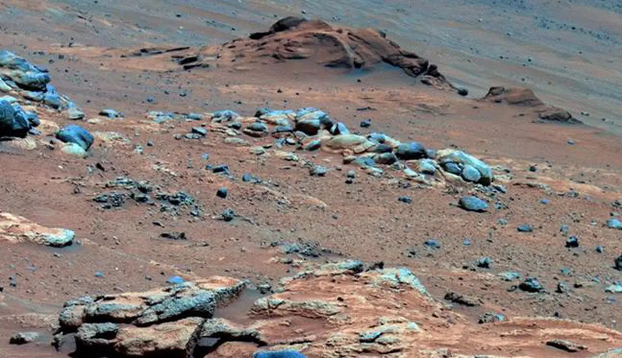 Data dari NASA yang dikumpulkan pada akhir 2005 menegaskan bahwa singkapan yang disebut "Comanche" mengandung mineral, yang menunjukkan lingkungan masa lalu basah dan non-asam, mungkin menguntungkan bagi kehidupan.  (businessweek.com)