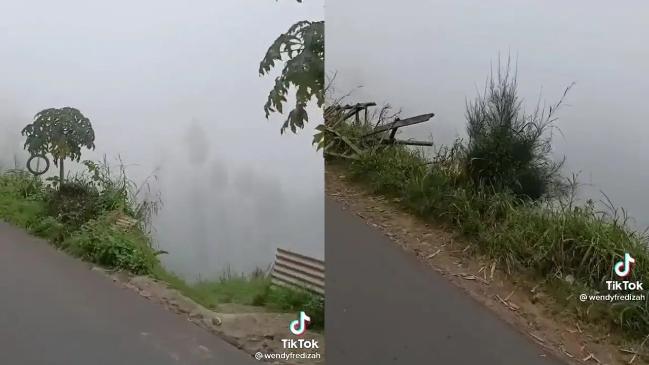 Diarahkan Google Maps Belok Kanan ke Jurang,