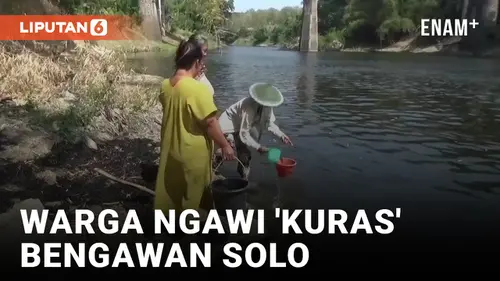 VIDEO: Warga Ngawi 'Kuras' Bengawan Solo Imbas Kekeringan
