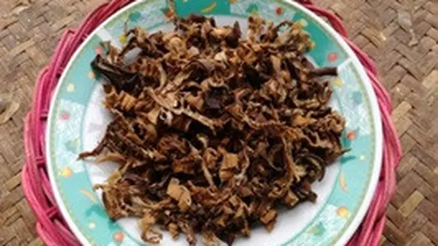 Tubuk Masam dan Tubuk Jemui Ketungau Tesaek Sekadau