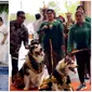 Pernikahan anjing dengan adat Jawa (Sumber: Instagram/jacko.jackie.joyful.jojo)