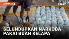 Aksi penyelundupan narkoba berhasil diungkap aparat di Meksiko. Sindikat perdagangan menggunakan modus baru, membungkus narkoba dengan buah kelapa.