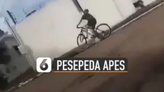 Tidak fokus melihat ke depan, pesepeda ini justru menabrak tiang listrik yang berada di depannya.