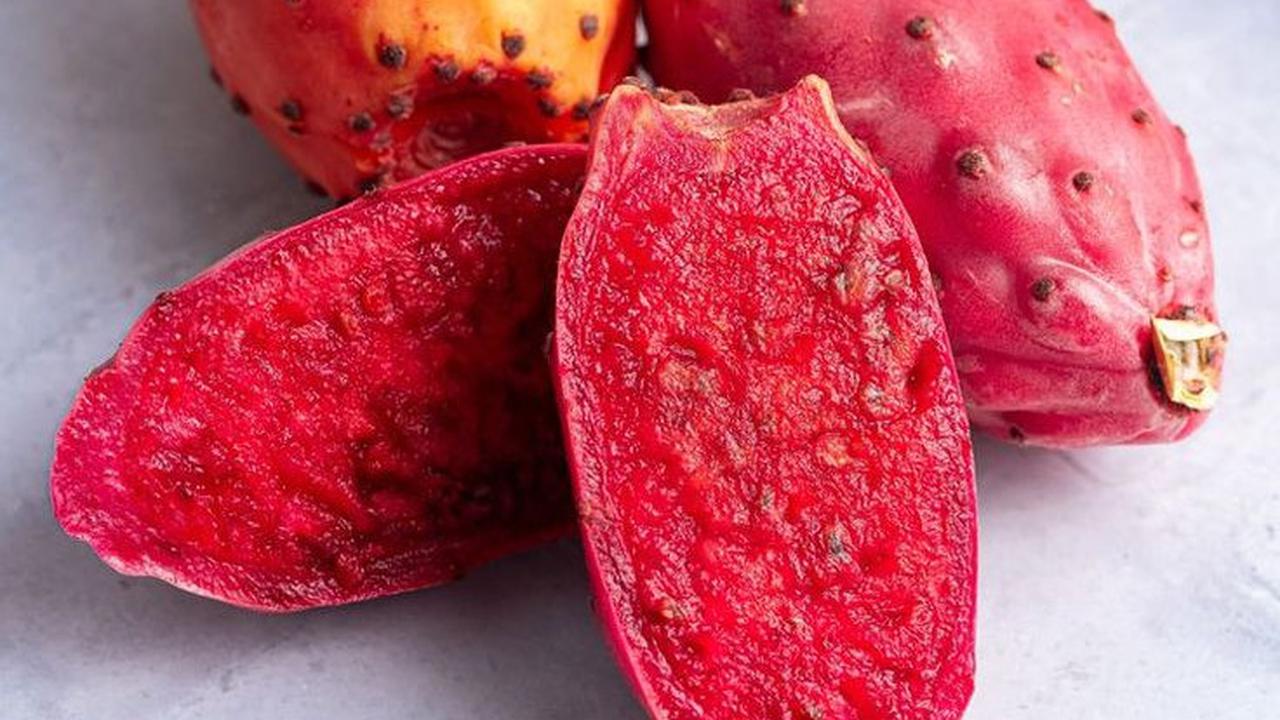 Ilustrasi Prickly Pear Buah Asli Meksiko (©Pinterest)