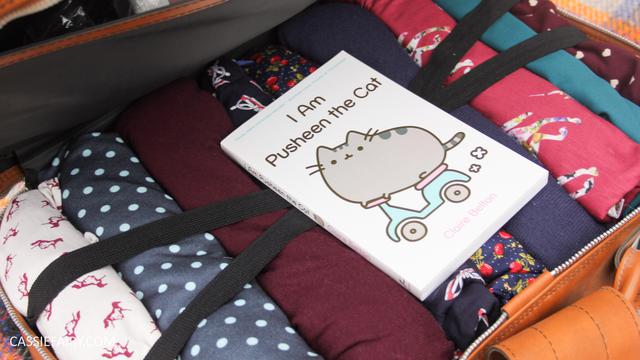 Tips Packing Koper Untuk Liburan