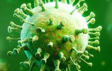 Macam-macam Virus dan Penyakitnya bagi Tubuh Manusia, dari Ringan sampai Mematikan